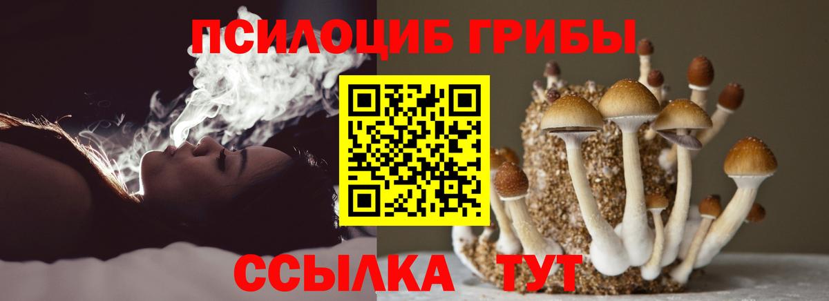 Острогожск  Псилоцибиновые грибы Magic Shrooms  наркошоп  Вход с VPN 